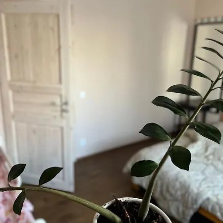 Hubane Kesklinna Kodu Eestiaegses Kivimajas Appartement *